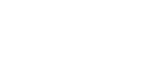 Les diffrentes familles de ROM
